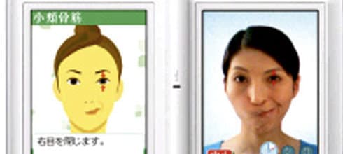 Gesichtstraining mit dem Nintendo DSi