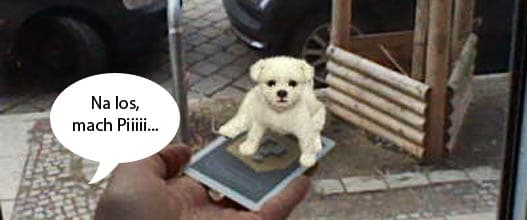 Gassi gehen mit dem 3-D Hund